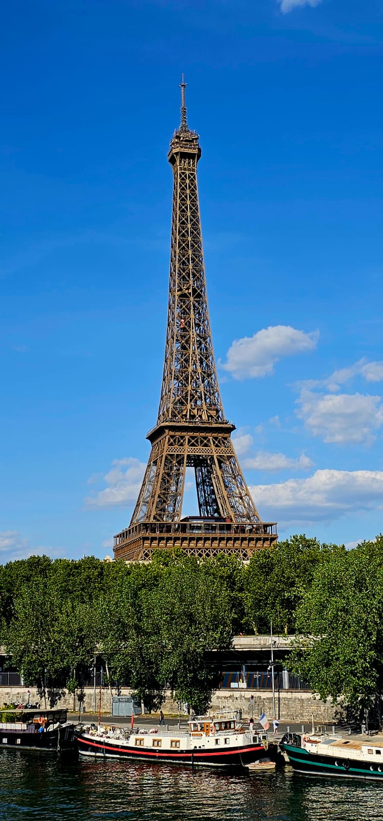 520220815_1345318827601553_3026867337938084252_n