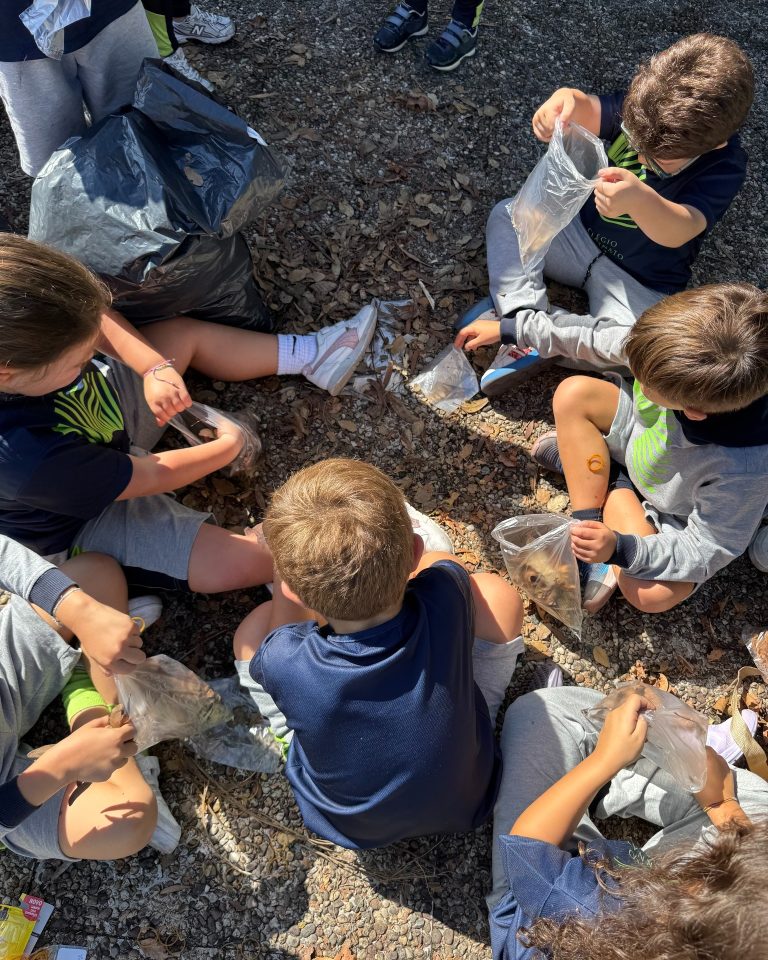 561745872_1428658475934254_2846682376664300189_n