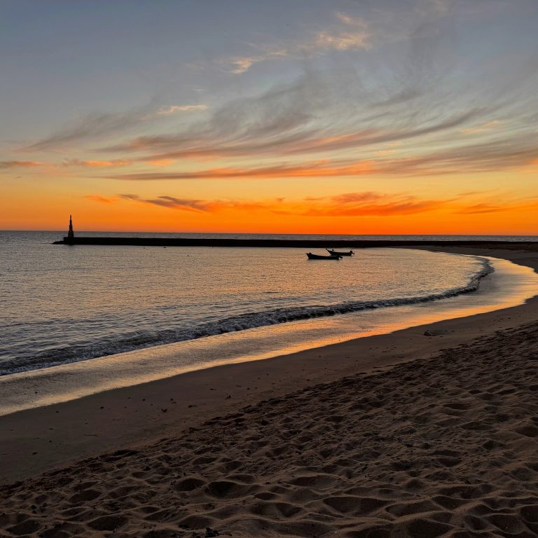 631372003_1536831318450302_6780018774312298010_n