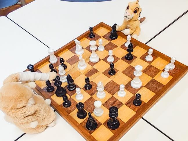 678548058_1604236201709813_5267556882453620479_n